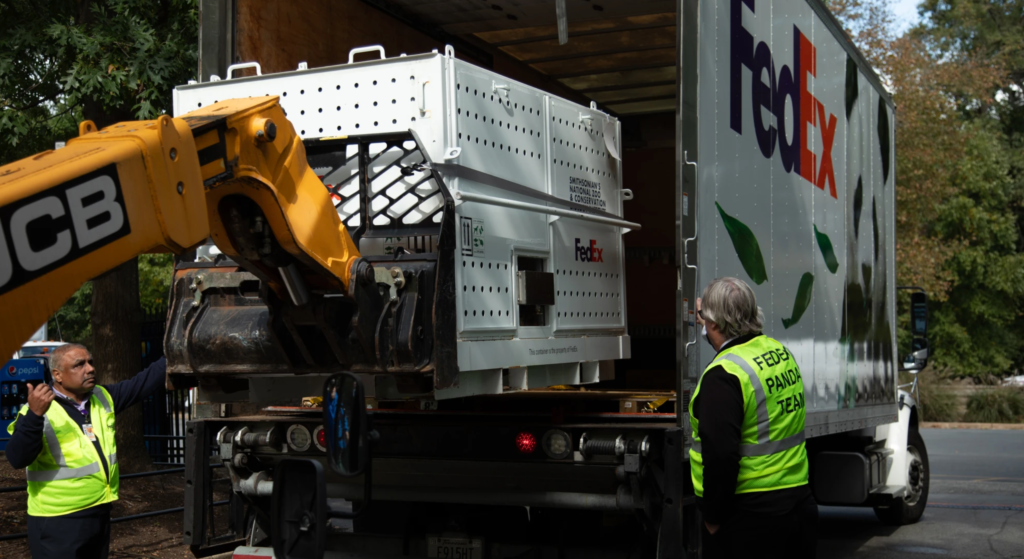 The pandas are back in town: ‘FedEx Panda Express’ brings bears to US