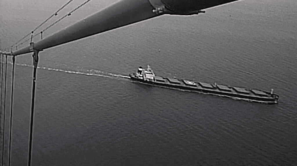 China bulk carrier suspected in Baltic cable damage