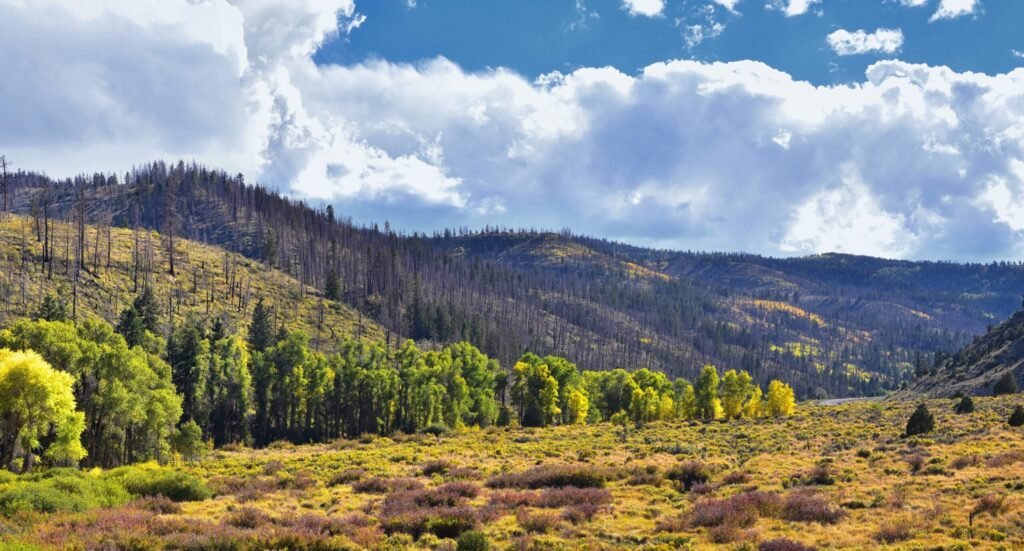 Supreme Court justice will not take part in Uinta Basin Railway case