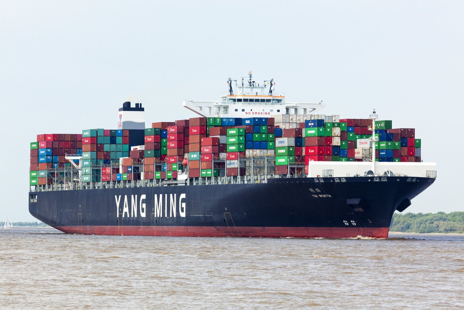 Yang Ming plans to order new container ships