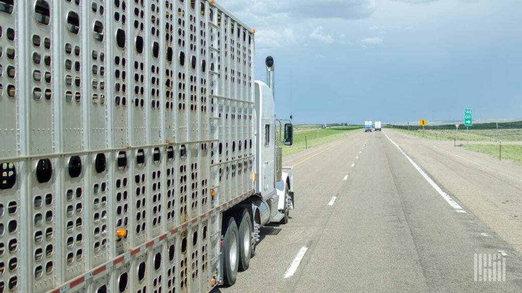 Feds respond to egg shortage by easing truck driver work rules