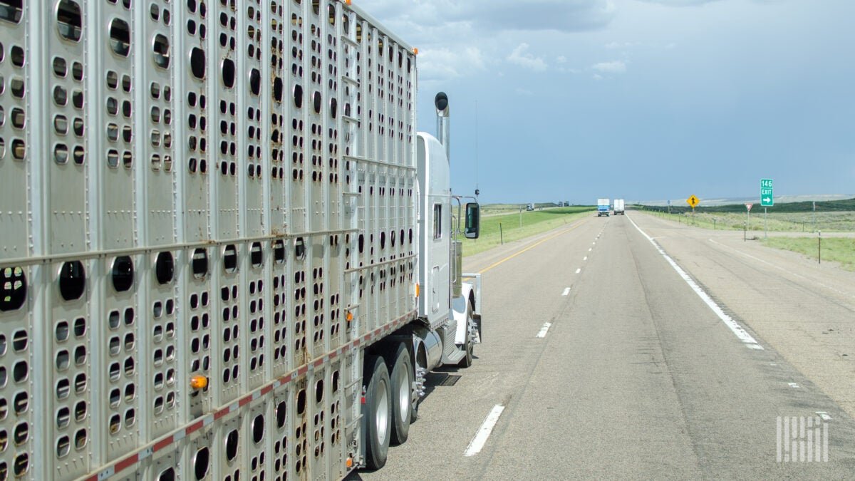 Feds respond to egg shortage by easing truck driver work rules