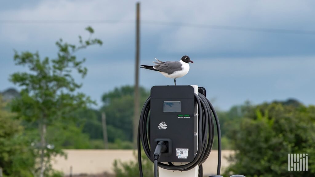 For Nikola, the writing was on the wall