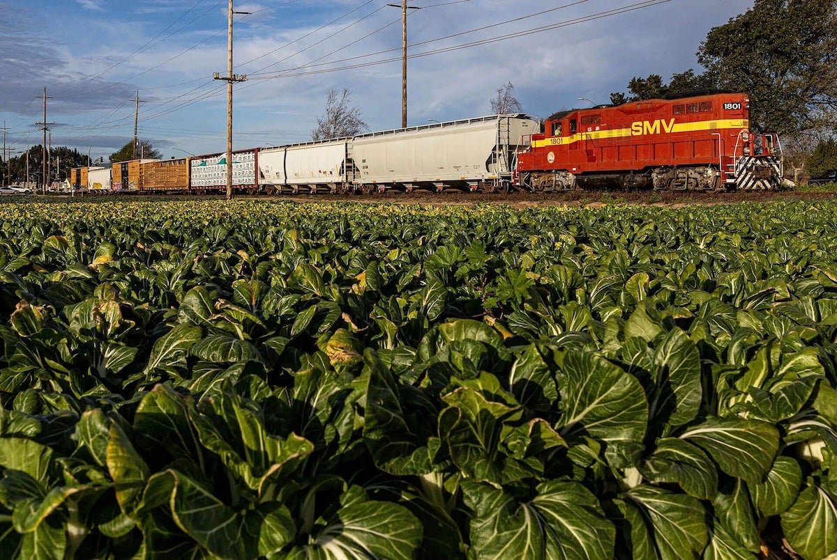 OmniTRAX joint venture acquires California short line railroad
