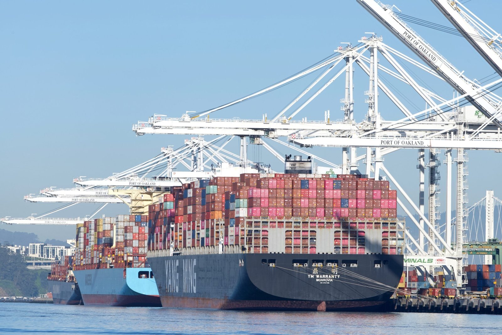 Trans-Pacific container rates below lowest 2024 levels: Freightos