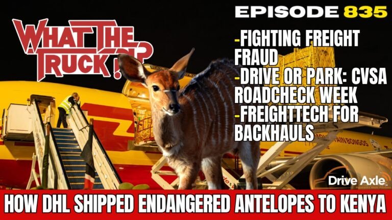 DHL Express ships endangered antelopes to Kenya; freight fraud; fixing backhauls | WHAT THE TRUCK?!?
