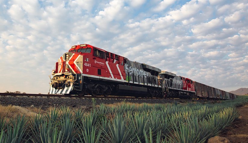 Grupo Mexico rail operations earnings plunge as volume drops