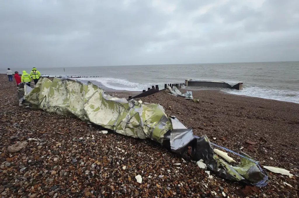 bananas washed ashore